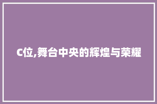 C位,舞台中央的辉煌与荣耀 学术范文