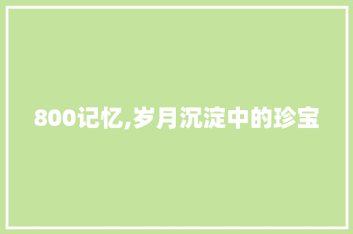 800记忆,岁月沉淀中的珍宝