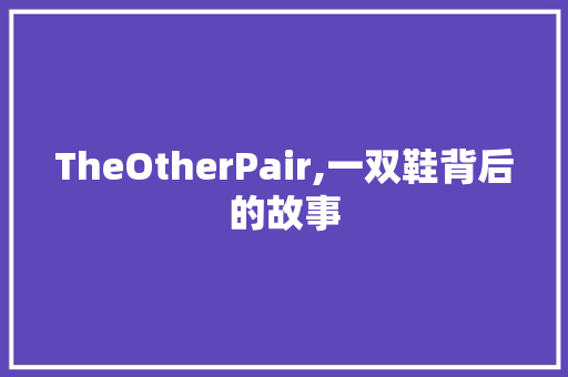 TheOtherPair,一双鞋背后的故事