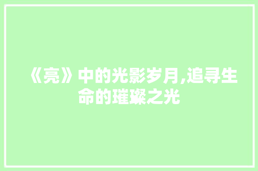 《亮》中的光影岁月,追寻生命的璀璨之光