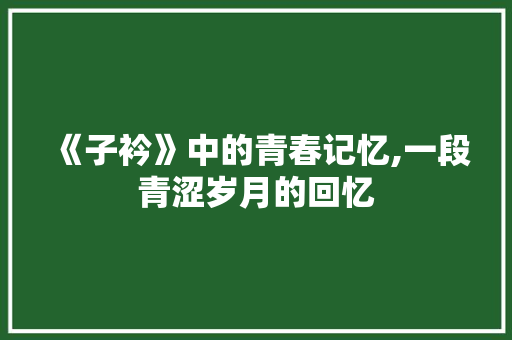 《子衿》中的青春记忆,一段青涩岁月的回忆