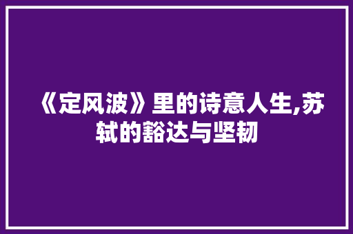 《定风波》里的诗意人生,苏轼的豁达与坚韧