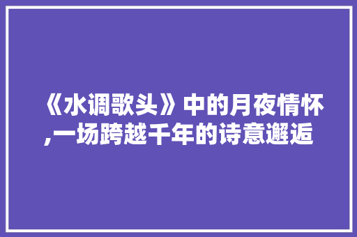 《水调歌头》中的月夜情怀,一场跨越千年的诗意邂逅