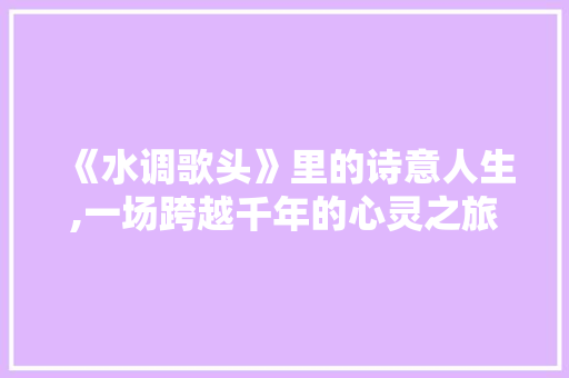 《水调歌头》里的诗意人生,一场跨越千年的心灵之旅