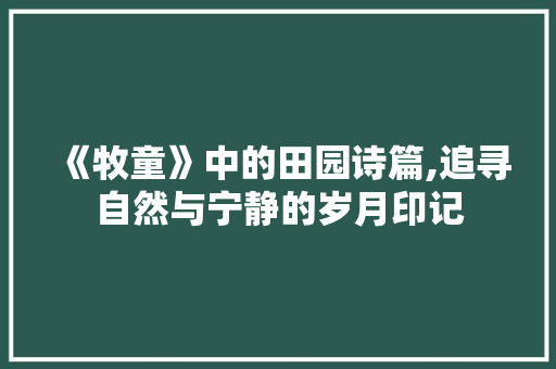 《牧童》中的田园诗篇,追寻自然与宁静的岁月印记