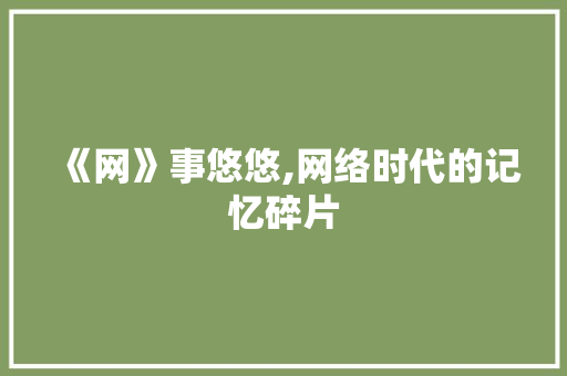 《网》事悠悠,网络时代的记忆碎片