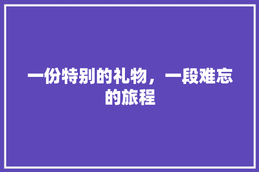 一份特别的礼物，一段难忘的旅程