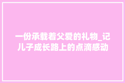 一份承载着父爱的礼物_记儿子成长路上的点滴感动