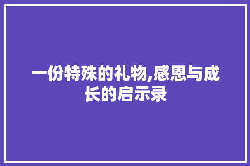 一份特殊的礼物,感恩与成长的启示录