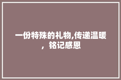 一份特殊的礼物,传递温暖，铭记感恩