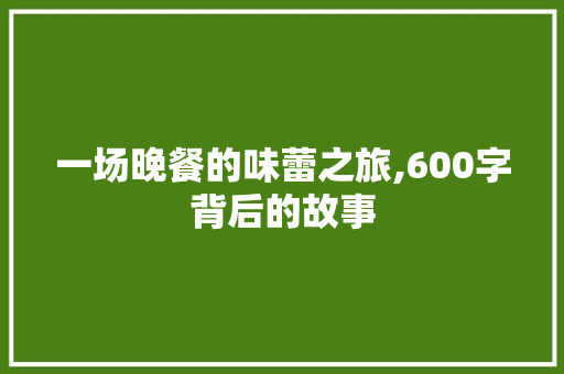 一场晚餐的味蕾之旅,600字背后的故事