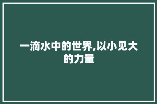 一滴水中的世界,以小见大的力量