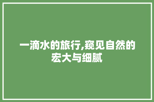 一滴水的旅行,窥见自然的宏大与细腻