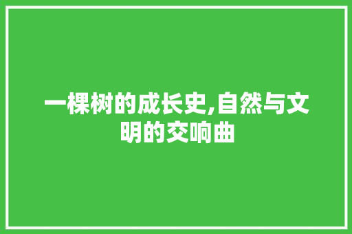 一棵树的成长史,自然与文明的交响曲