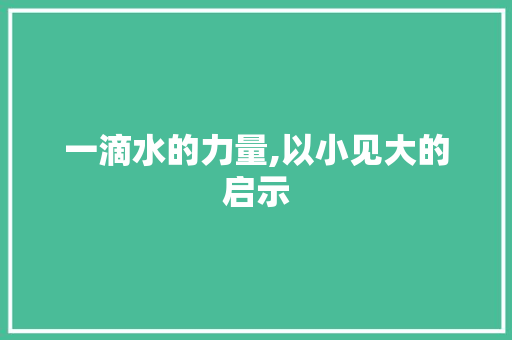 一滴水的力量,以小见大的启示