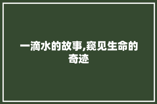 一滴水的故事,窥见生命的奇迹