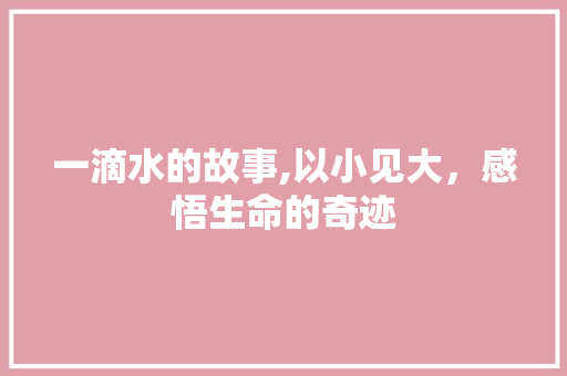 一滴水的故事,以小见大，感悟生命的奇迹