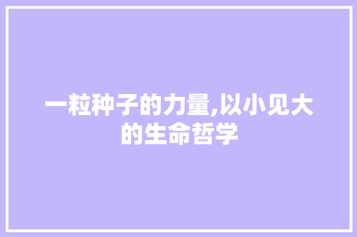 一粒种子的力量,以小见大的生命哲学