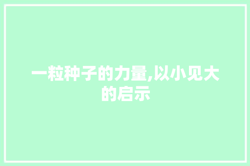 一粒种子的力量,以小见大的启示