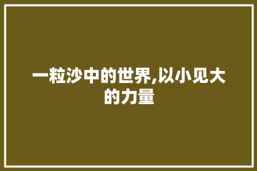 一粒沙中的世界,以小见大的力量