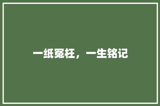 一纸冤枉，一生铭记