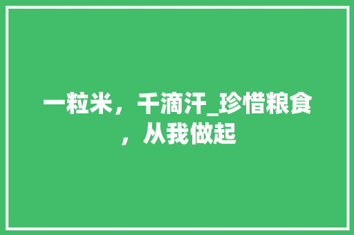 一粒米，千滴汗_珍惜粮食，从我做起