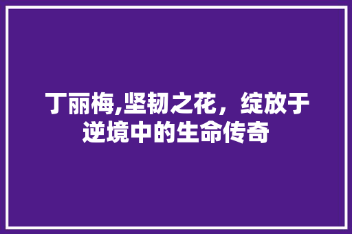 丁丽梅,坚韧之花，绽放于逆境中的生命传奇