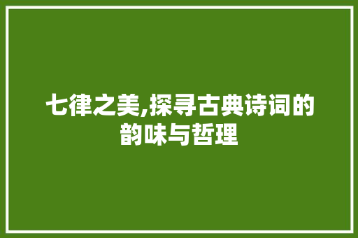 七律之美,探寻古典诗词的韵味与哲理