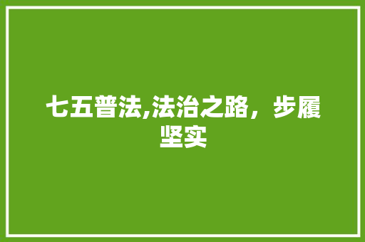 七五普法,法治之路，步履坚实