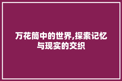 万花筒中的世界,探索记忆与现实的交织