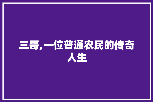 三哥,一位普通农民的传奇人生