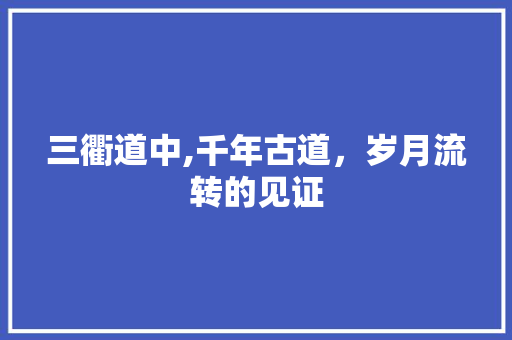 三衢道中,千年古道，岁月流转的见证