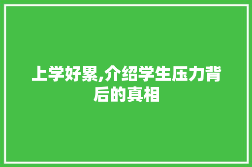 上学好累,介绍学生压力背后的真相