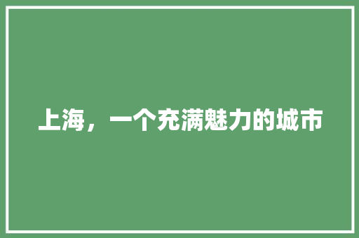 上海，一个充满魅力的城市