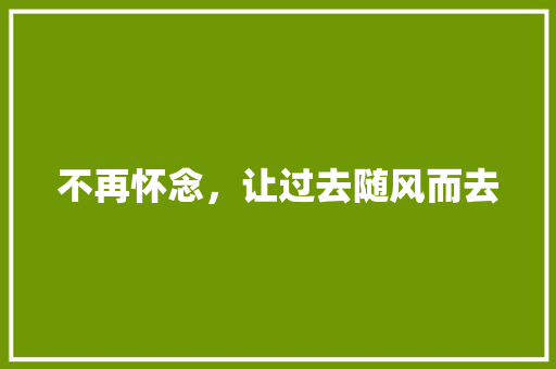 不再怀念，让过去随风而去