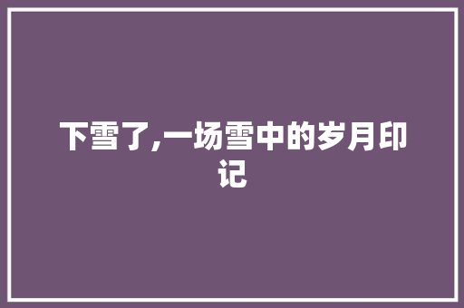 下雪了,一场雪中的岁月印记