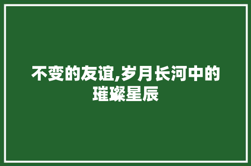 不变的友谊,岁月长河中的璀璨星辰