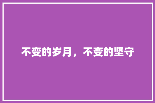 不变的岁月，不变的坚守