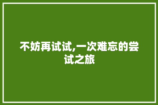 不妨再试试,一次难忘的尝试之旅