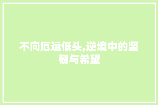 不向厄运低头,逆境中的坚韧与希望