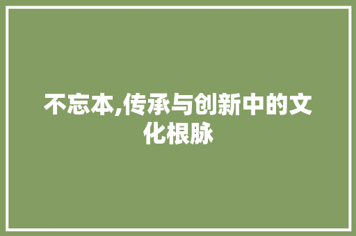 不忘本,传承与创新中的文化根脉