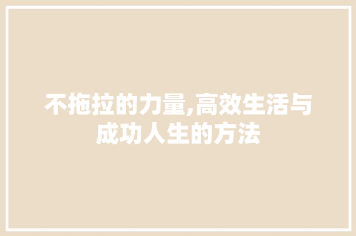 不拖拉的力量,高效生活与成功人生的方法