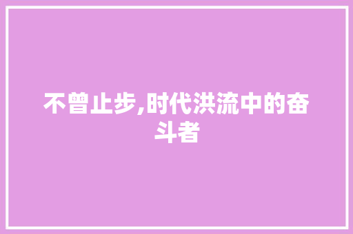 不曾止步,时代洪流中的奋斗者