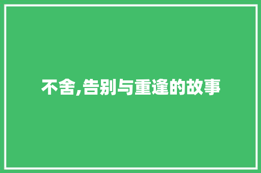 不舍,告别与重逢的故事