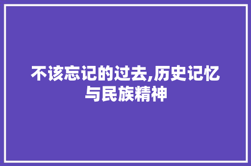 不该忘记的过去,历史记忆与民族精神