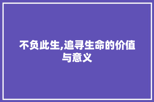 不负此生,追寻生命的价值与意义