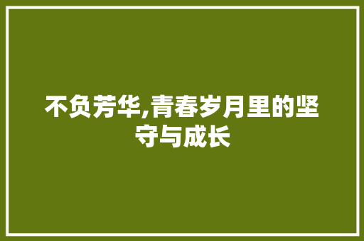 不负芳华,青春岁月里的坚守与成长