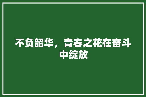 不负韶华，青春之花在奋斗中绽放