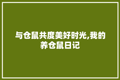 与仓鼠共度美好时光,我的养仓鼠日记