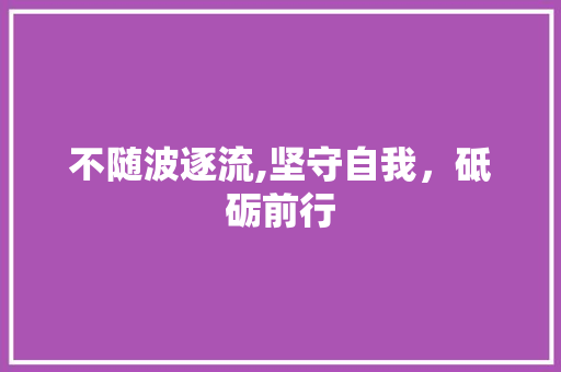 不随波逐流,坚守自我，砥砺前行